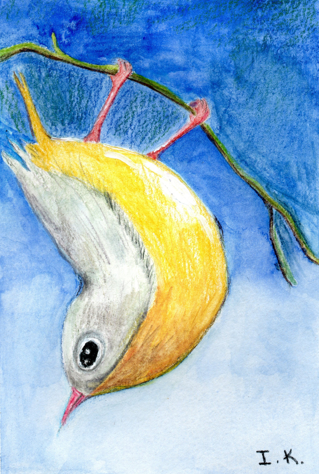 Bird #3