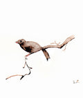 Bird #1