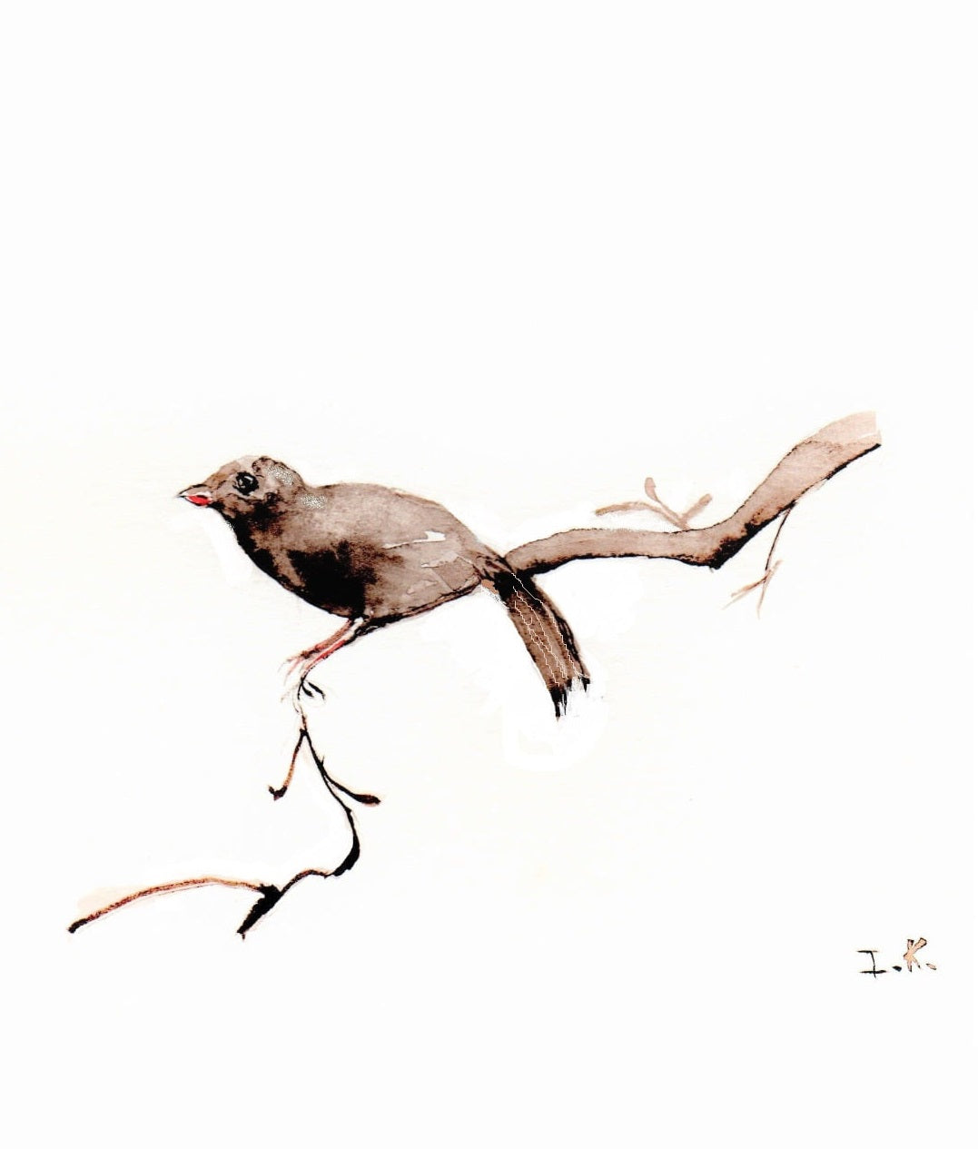 Bird #1