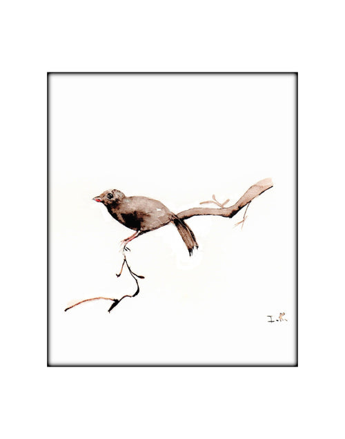 Bird #1
