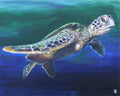 Honu #1
