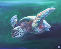 Honu #2