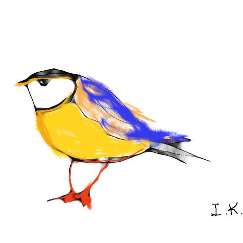 Yellow Bird