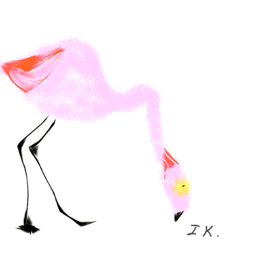 Flamingo