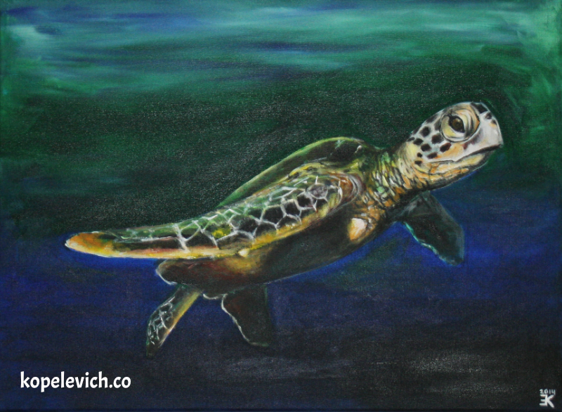 Sea Turtle #1