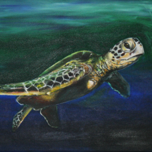 Sea Turtle #1