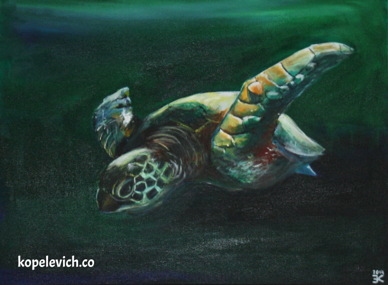 Sea Turtle #2