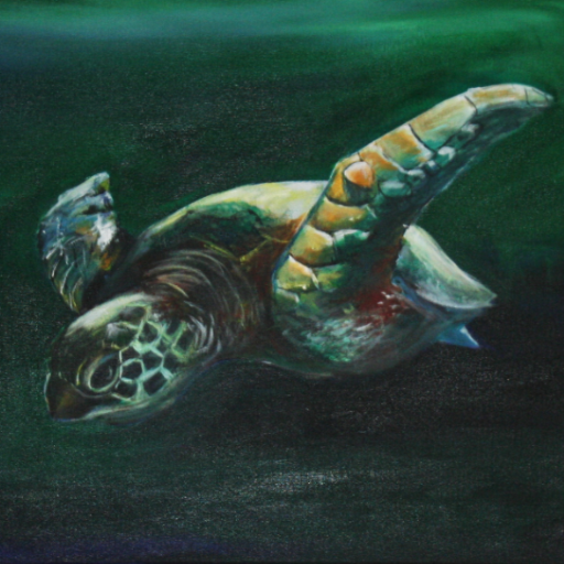 Sea Turtle #2